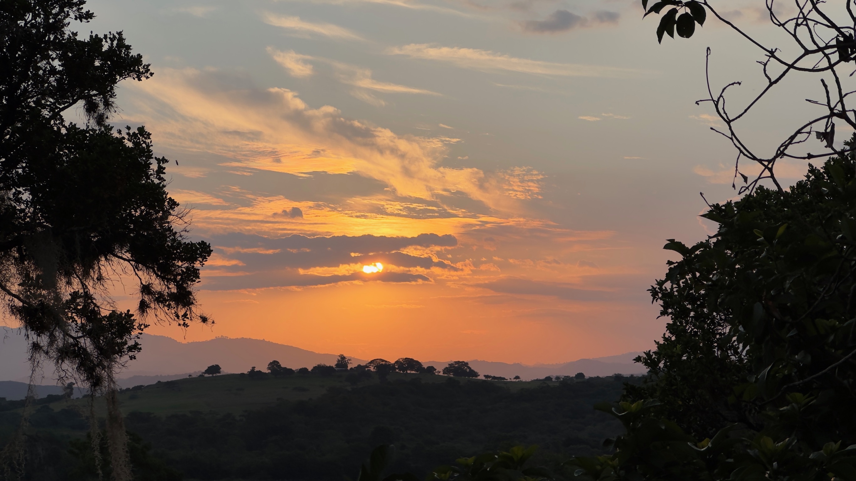 Atardecer sobre las fincas cafeteras de Mr. Capacho en el sur del Huila